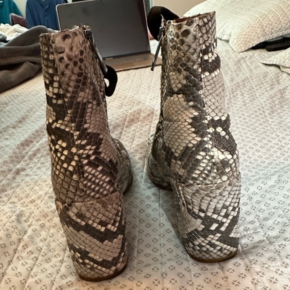 Franco Cuadra🐍 - Picture 4 of 5